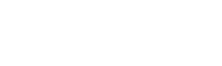 website logo for loader